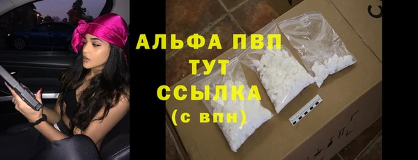 амф Богданович