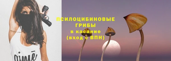 амф Богданович