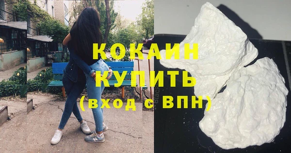 сатива Бородино