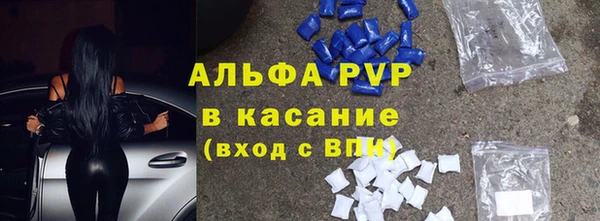 амф Богданович