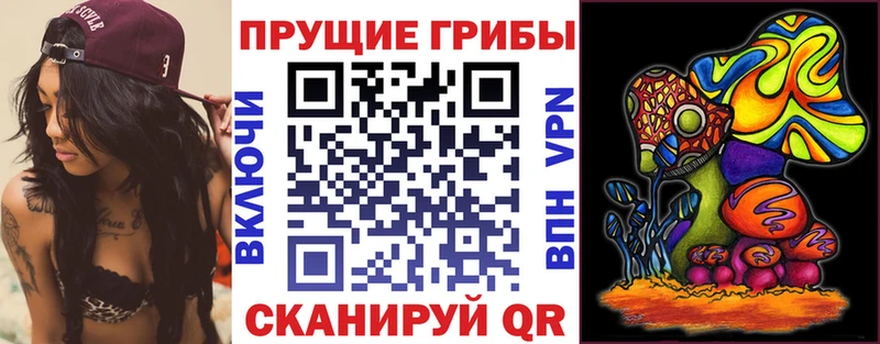 Галлюциногенные грибы GOLDEN TEACHER  купить закладку  Данилов 