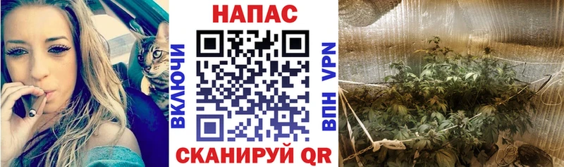 Бошки марихуана семена Данилов